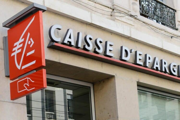 Découvrez l&rsquo;ecureuil investissement : une approche innovante pour gérer vos fonds